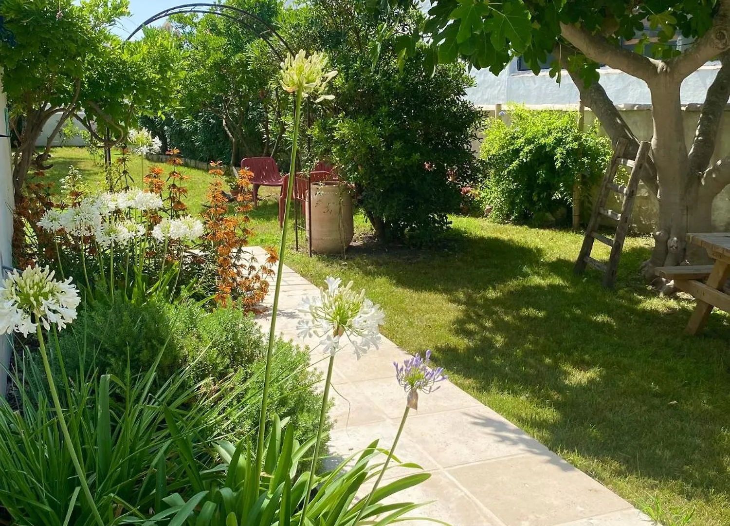 Le Chene Vert Saintes-Maries-de-la-Mer